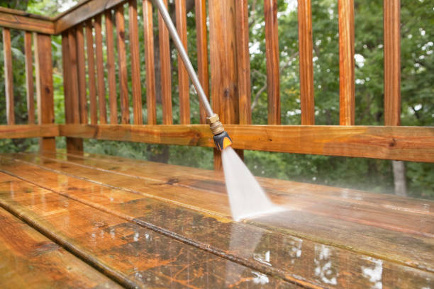 Best Sidewalk and Walkway Cleaning  in Edgewater, FL